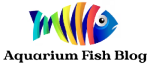 Aquarium Fish Blog