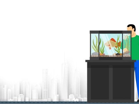 How do you move an aquarium long distance?